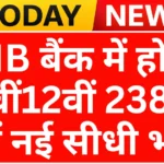 PNB Bank Work from home jobs 2026