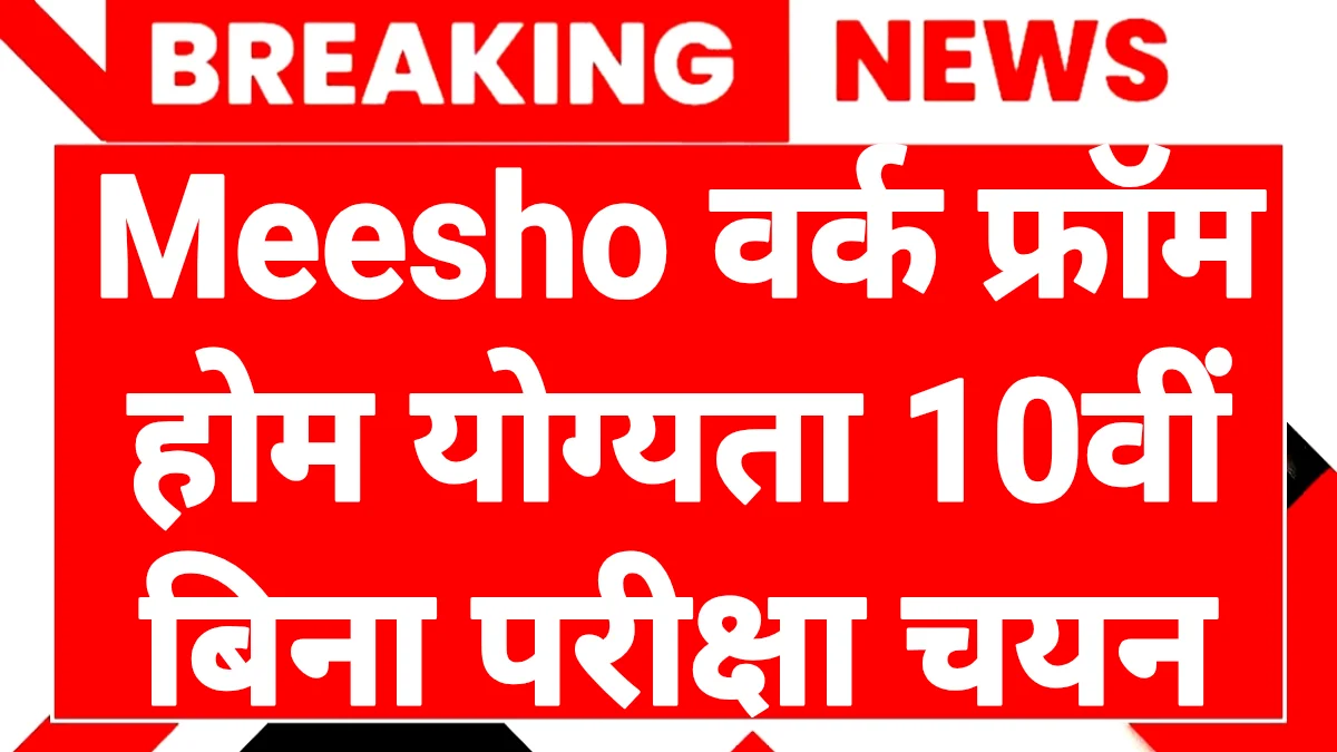 Meesho Work from home yojana